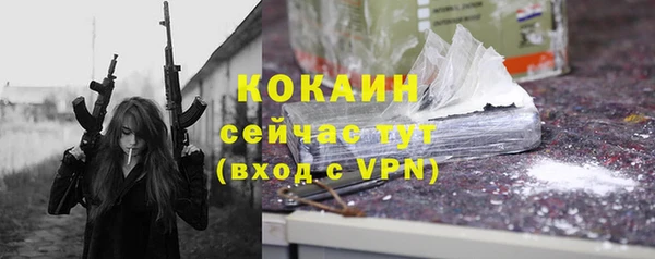 твердый Иннополис