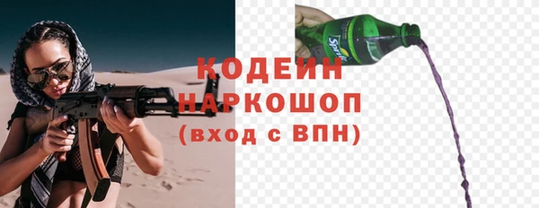 твердый Иннополис