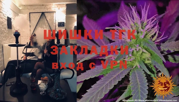 соль ск Инта
