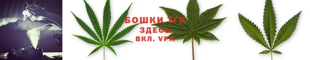 винт Инсар