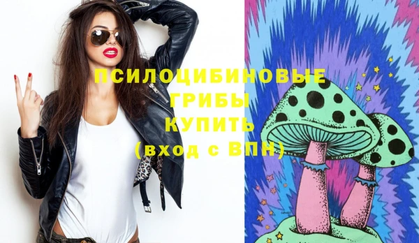 соль ск Инта