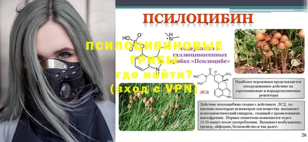 винт Инсар