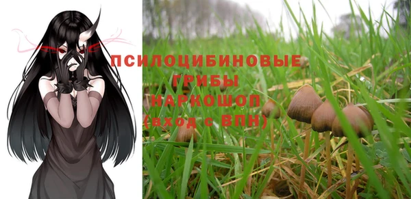 твердый Иннополис
