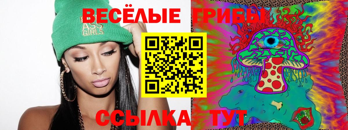 Псилоцибиновые грибы Psilocybe  Вход с VPN  купить   Канаш 